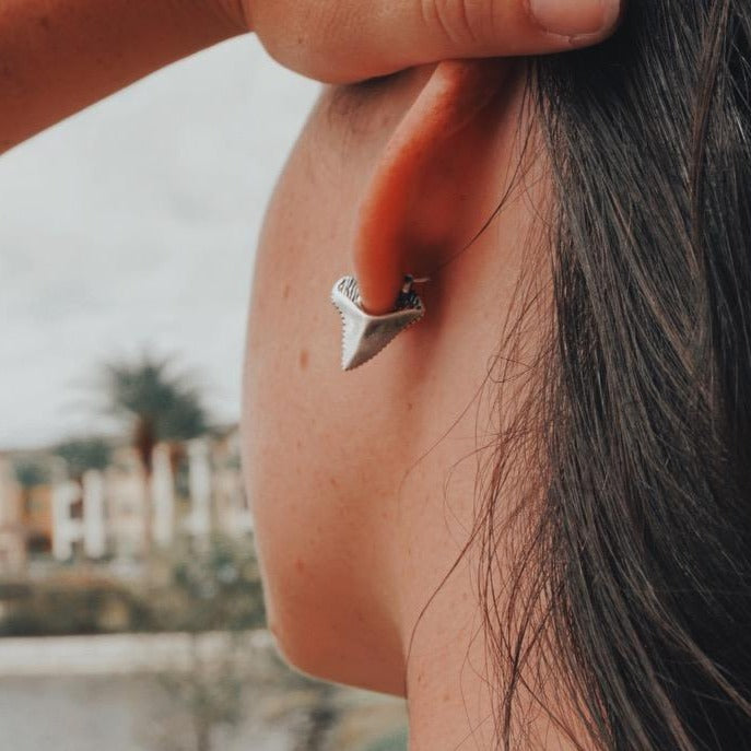 Sterling Silver Shark Tooth Earrings