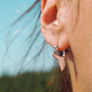 Sterling Silver Shark Tooth Earrings