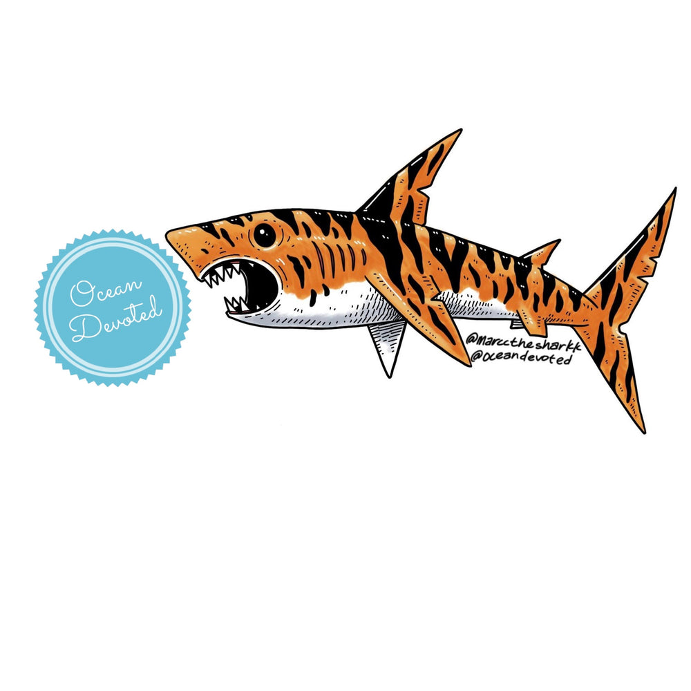 
            
                Load image into Gallery viewer, Tiger Shark
            
        