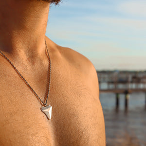 Shark Tooth Necklace